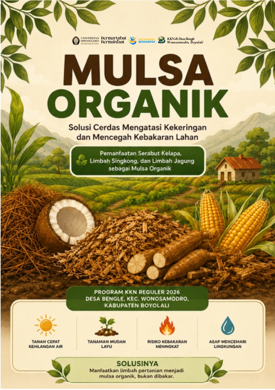 Mulsa Organik